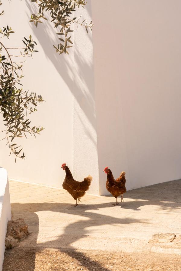 Sikalindi Apulia Villa Gagliano del Capo Exterior photo